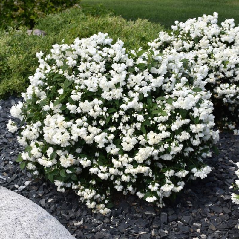 Supports Soil Moisture