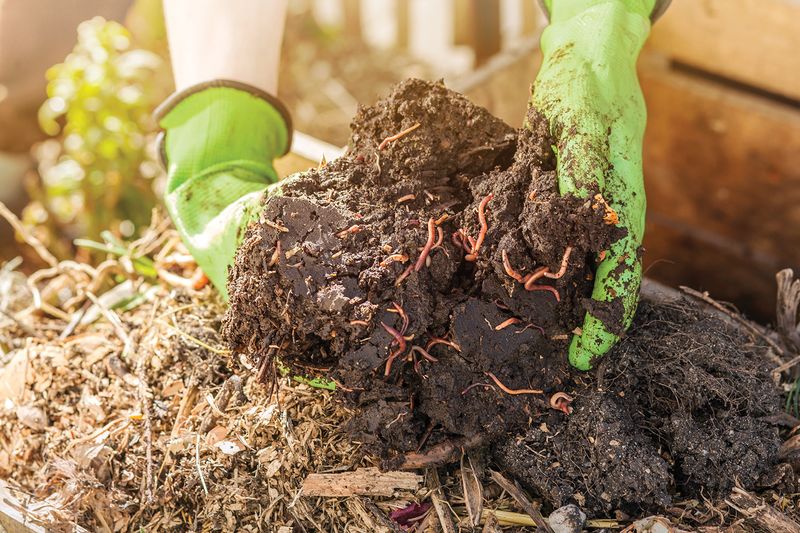 Encourages Earthworms