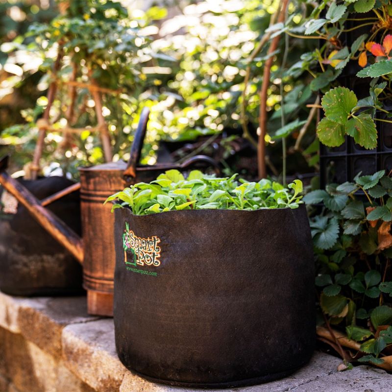 Create Flexible Container Gardens Anywhere