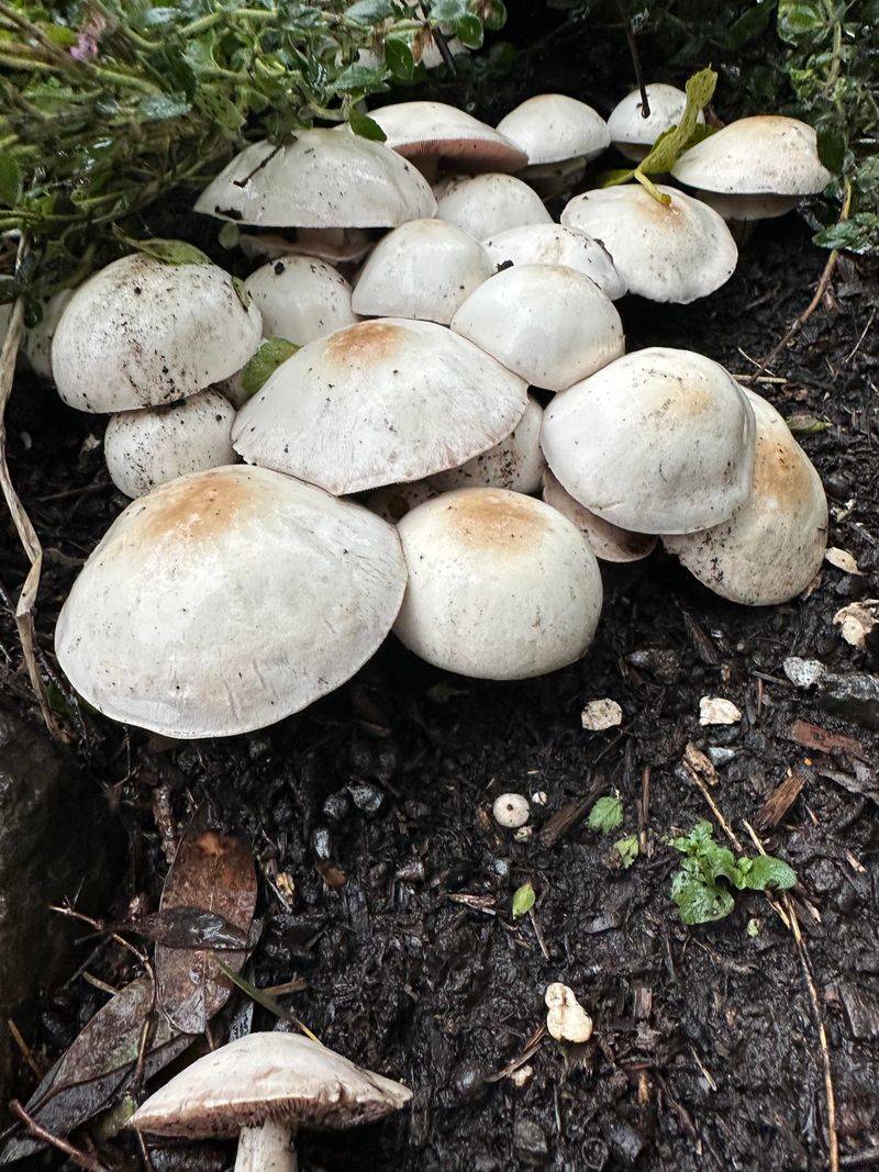 Keep Moisture Levels Consistent 