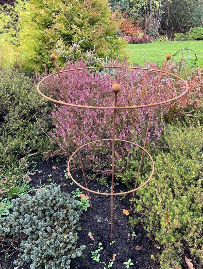 Provide Support For Tall Stems And Heavy Blooms