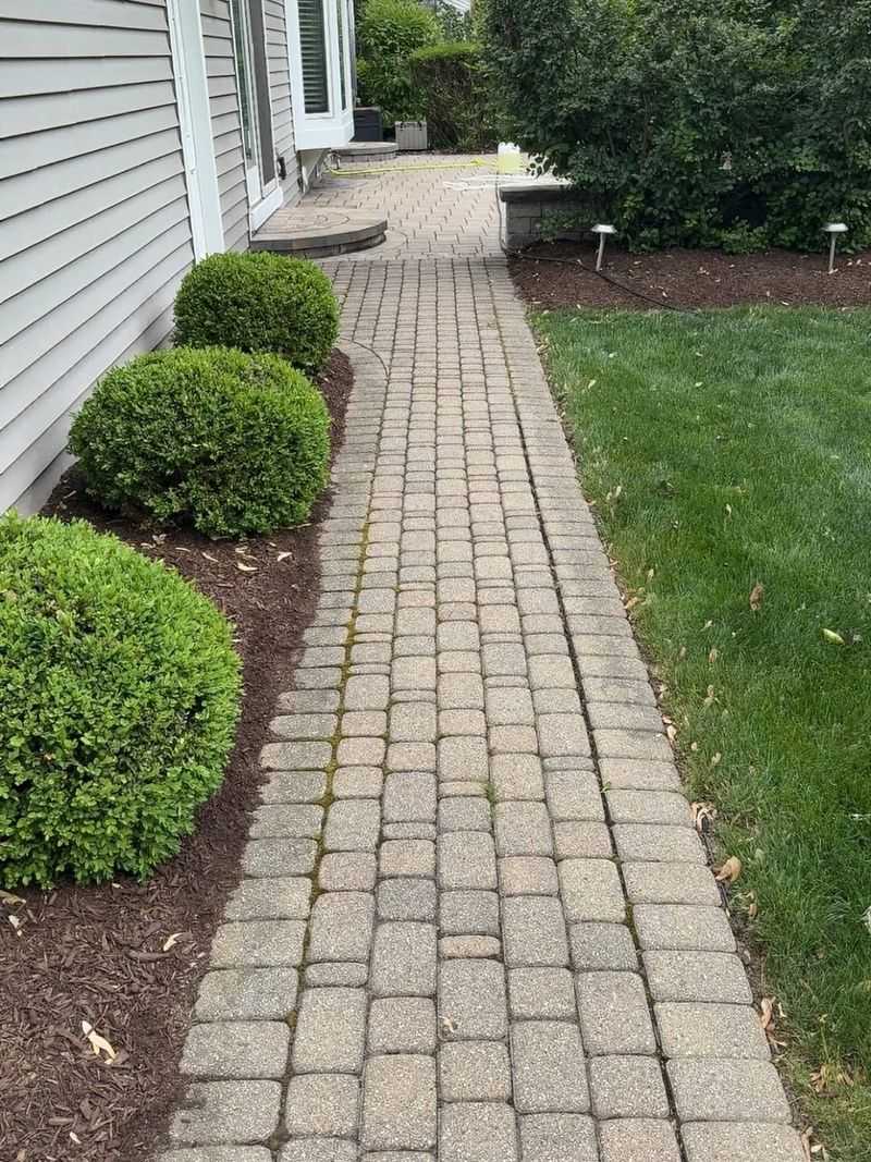 Keep Joints Clean And Refill Gaps Before Weeds Return