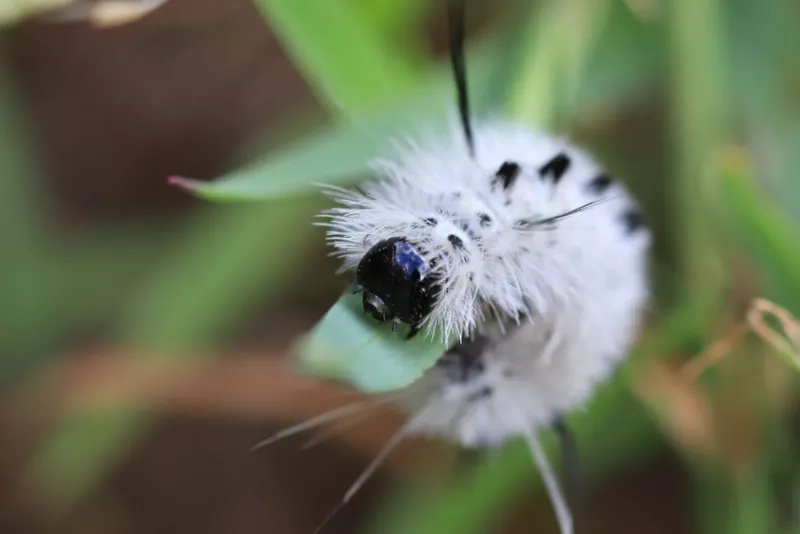 Most Reactions Are Mild But Uncomfortable