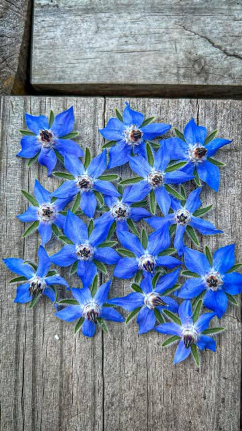 You Can Actually Use The Flowers And Leaves