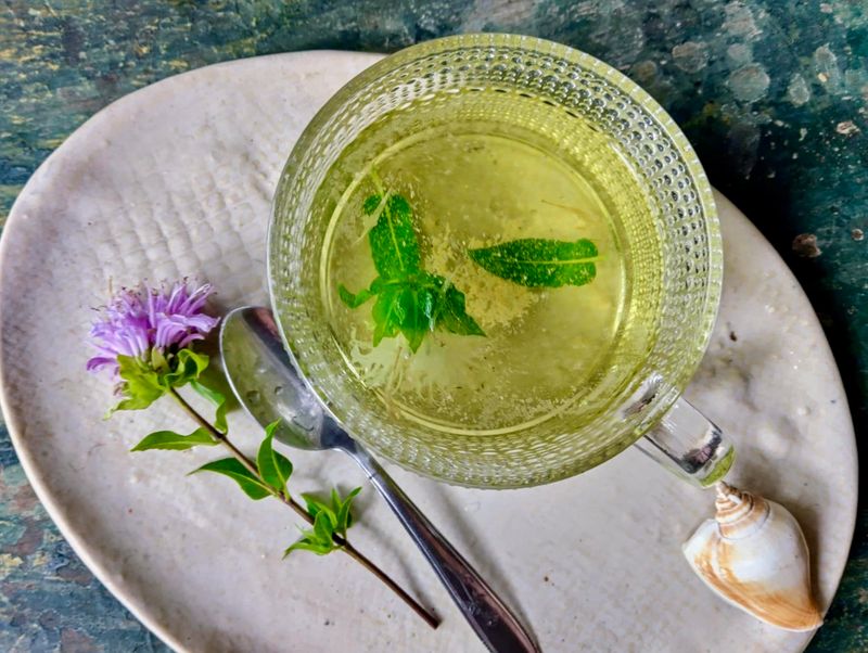 This Native Plant Brought Beauty And Everyday Use To The Landscape