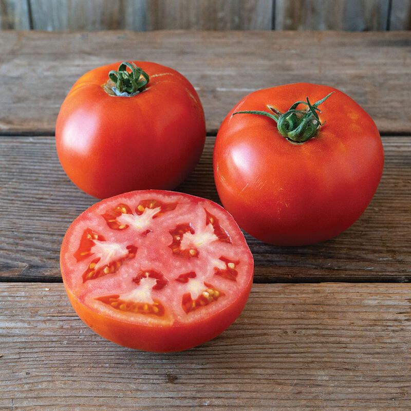 Unity Beefsteak Tomato
