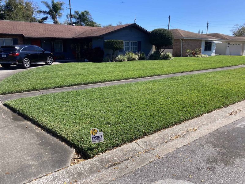 Watch For Signs Your Lawn Is Ready