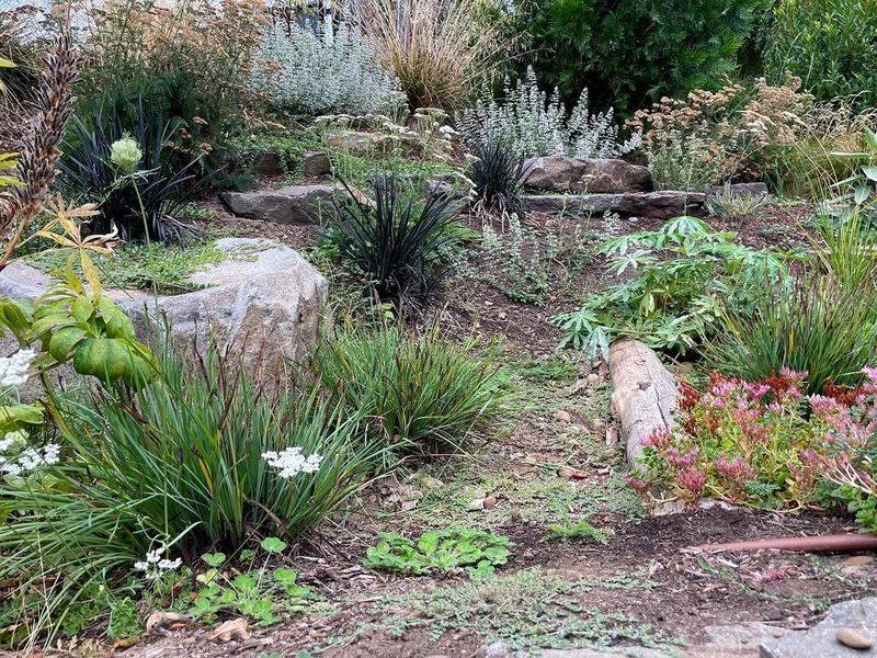 Learn How Water Moves Through Your Yard