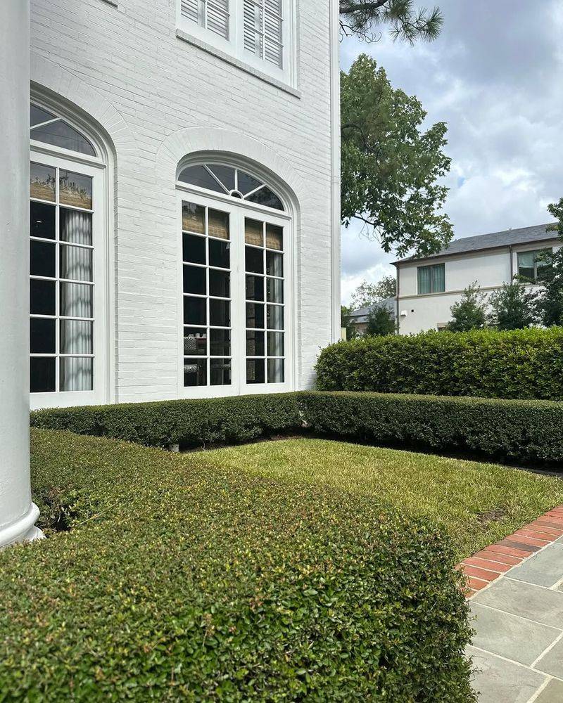 Handles Salt And Roadside Stress Well