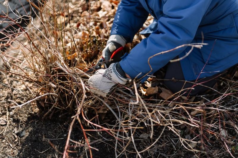 Clear Away Winter's Leftovers