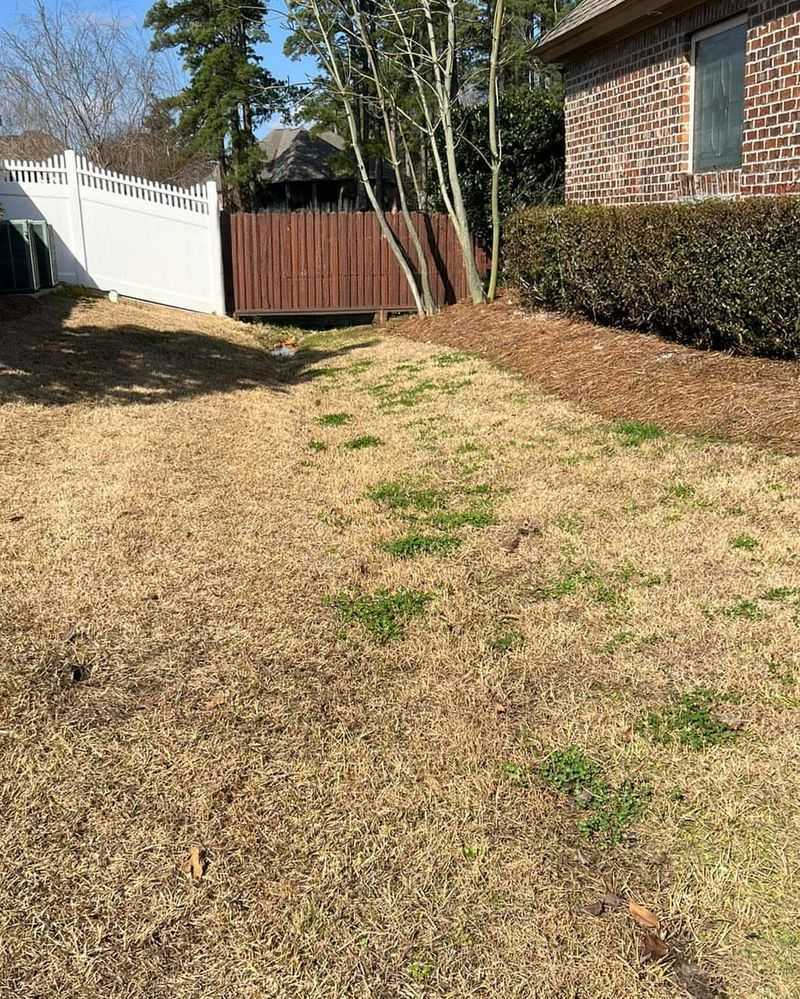 Wait Until Lawns Are Fully Growing Before Feeding