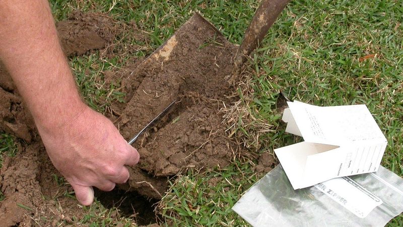 Soil Testing Is The Secret Weapon Most Homeowners Skip