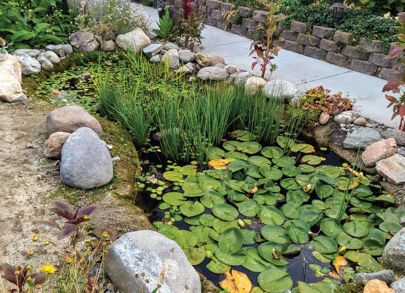Small Garden Ponds That Host Mini Wildlife Parties