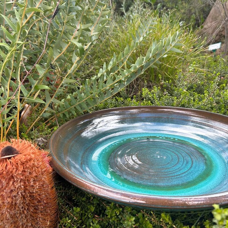 Ground-Level Water Dish