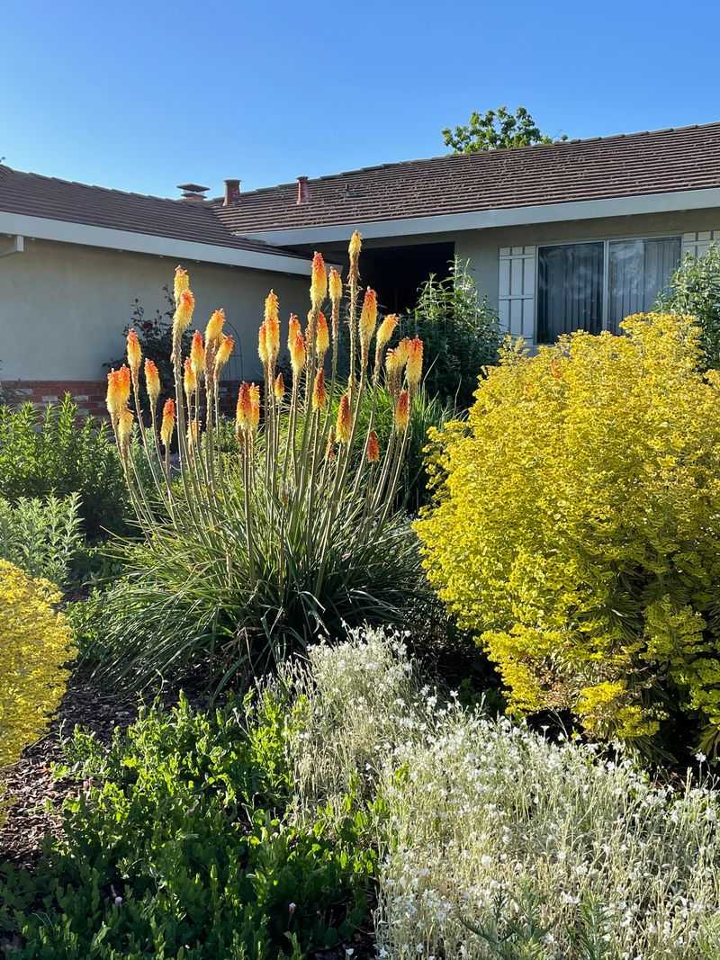 Add Drought-Tolerant Grasses