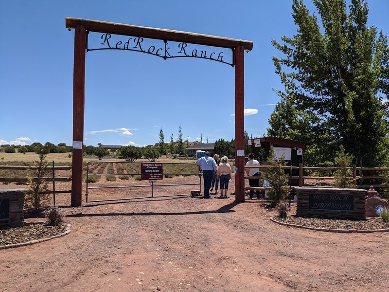 Capture Stunning Photos Among The Vibrant Rows