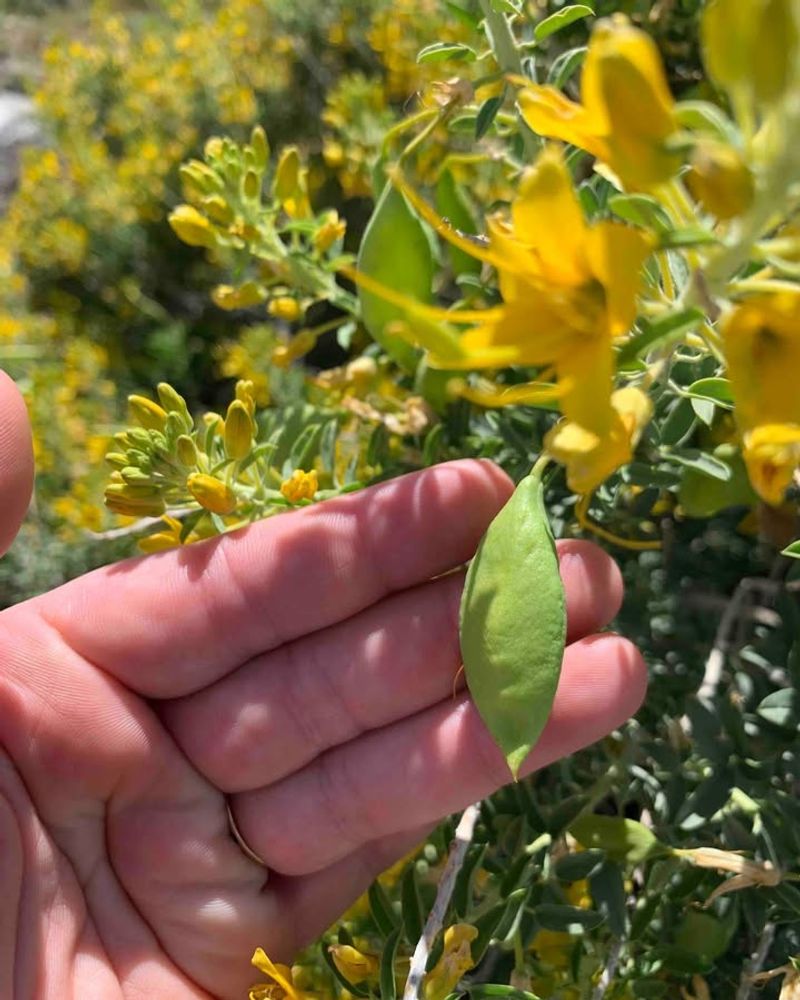 Keep The Patch Blooming Year-Round