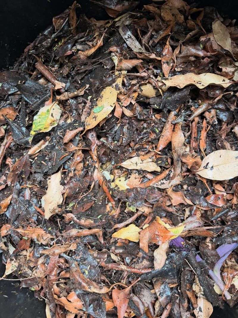A Simple Mix Of Greens And Browns Starts The Compost Process
