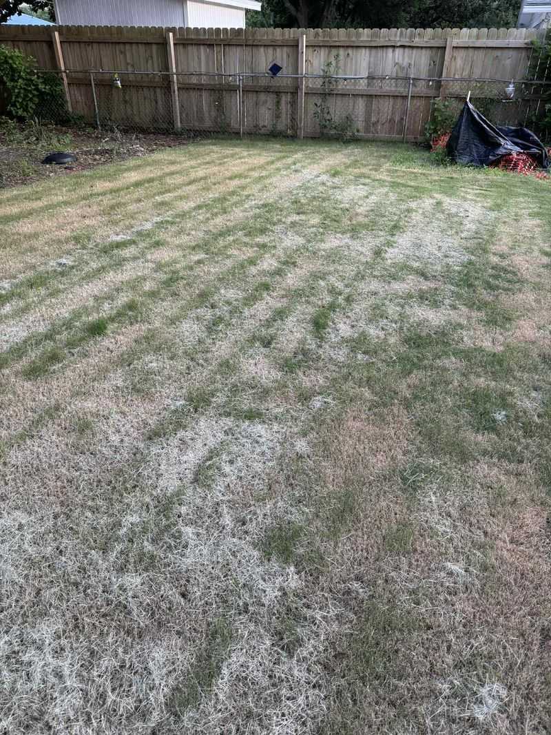 Overwatering In March Can Cost More Than It Helps