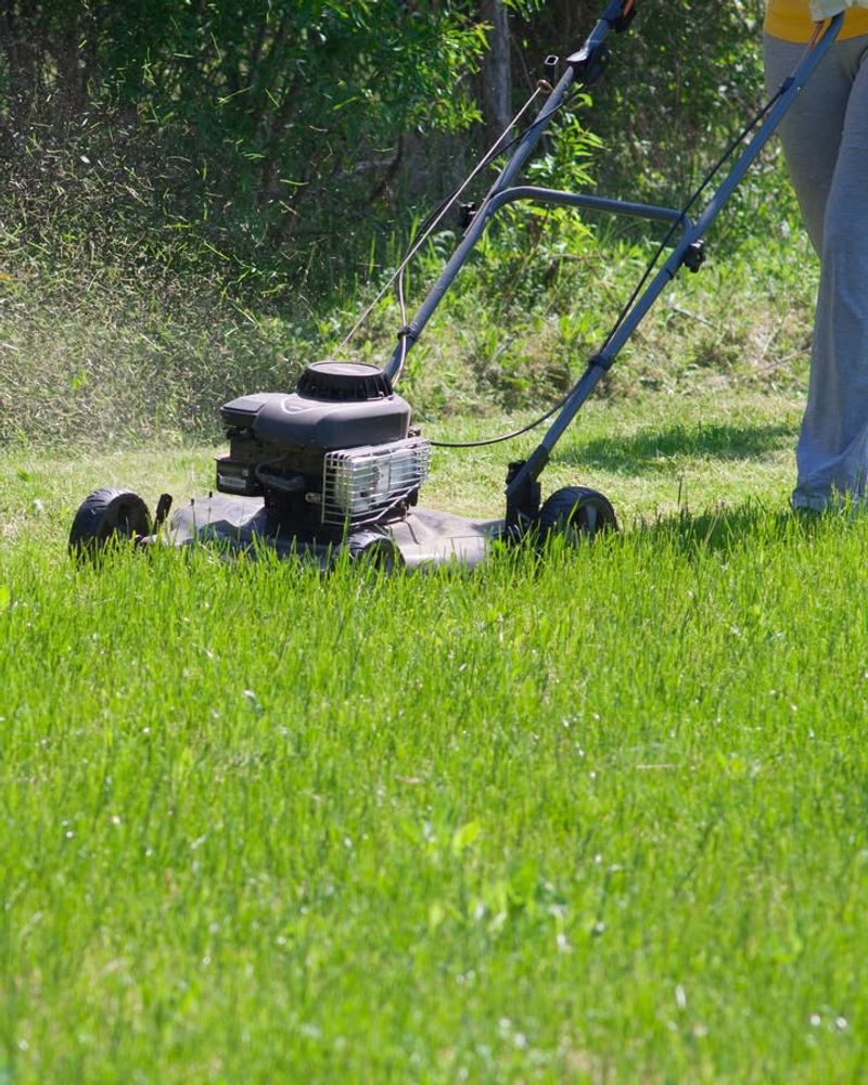 Leave Clippings To Feed Your Lawn Naturally