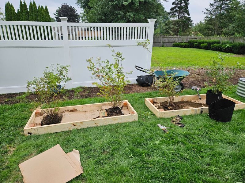 Planting In Beds That Are Too Shallow