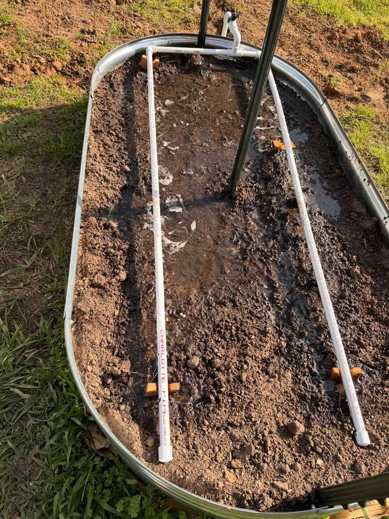 Overwatering During Cool Spring Weather