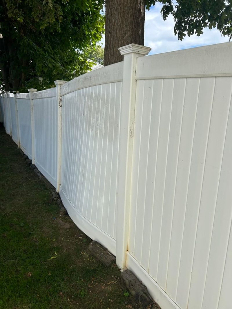 Dealing With Roots That Cross Property Lines