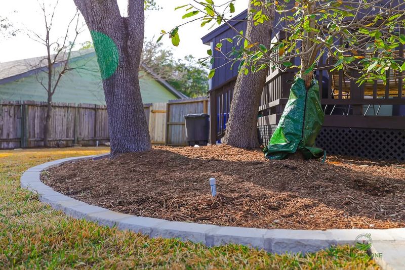 Mulch Does More Than Look Good