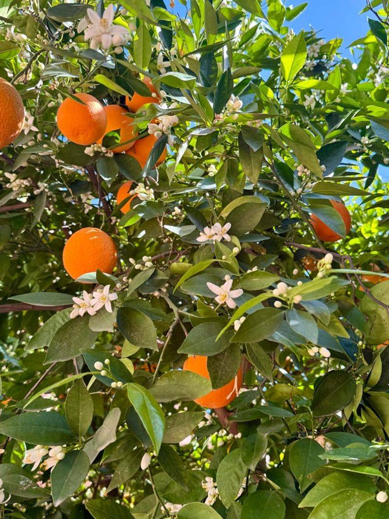 Apply The Right Amount