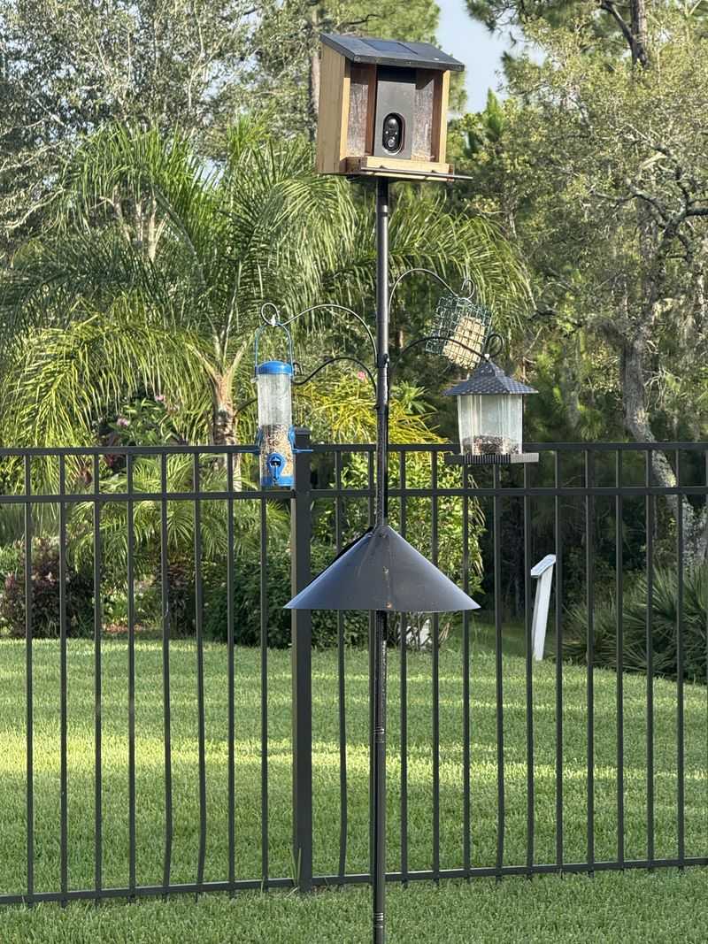 Baffles And Better Placement Help Keep Raccoons Away