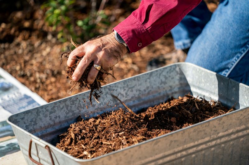 Add Fresh Mulch To Block Light And Slow New Sprouts