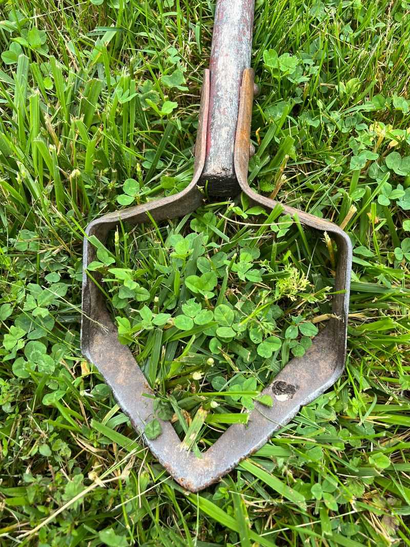 Early Weed Growth Gets Disrupted Before It Spreads