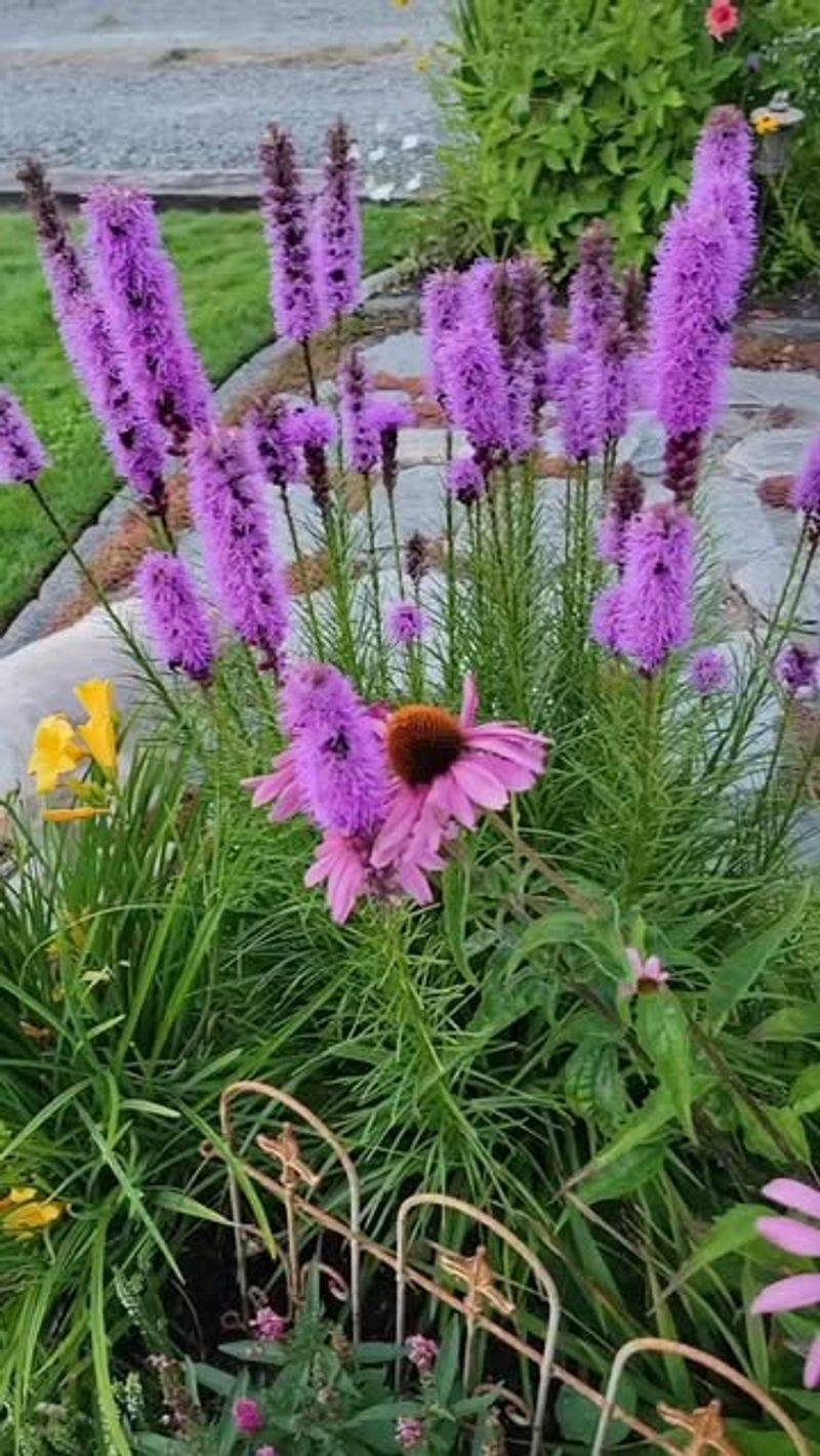 Works In Many Garden Styles