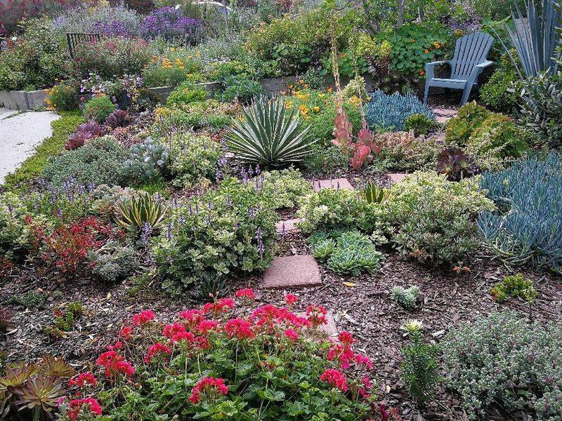 Quick Planting Tips For Instant Beauty