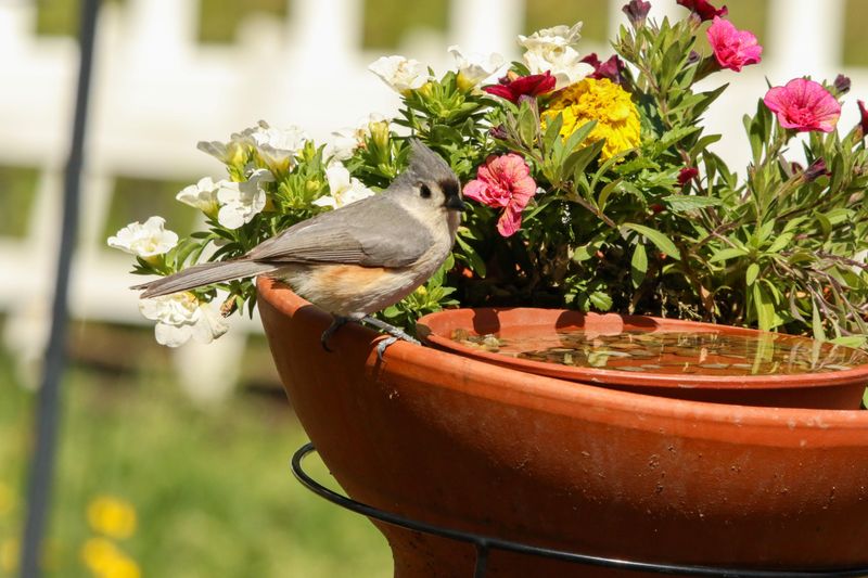 Turn Pots Into Bird Baths