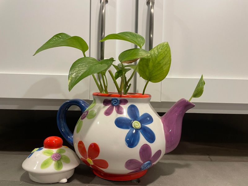 Teapot Or Tea Kettle