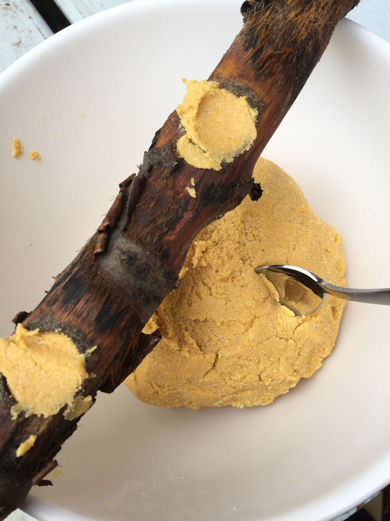 Tree Bark Butter (DIY Or Store-Bought)