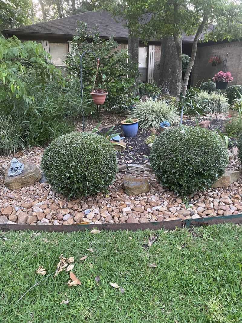 Handles Heat And Sun Without Complaining