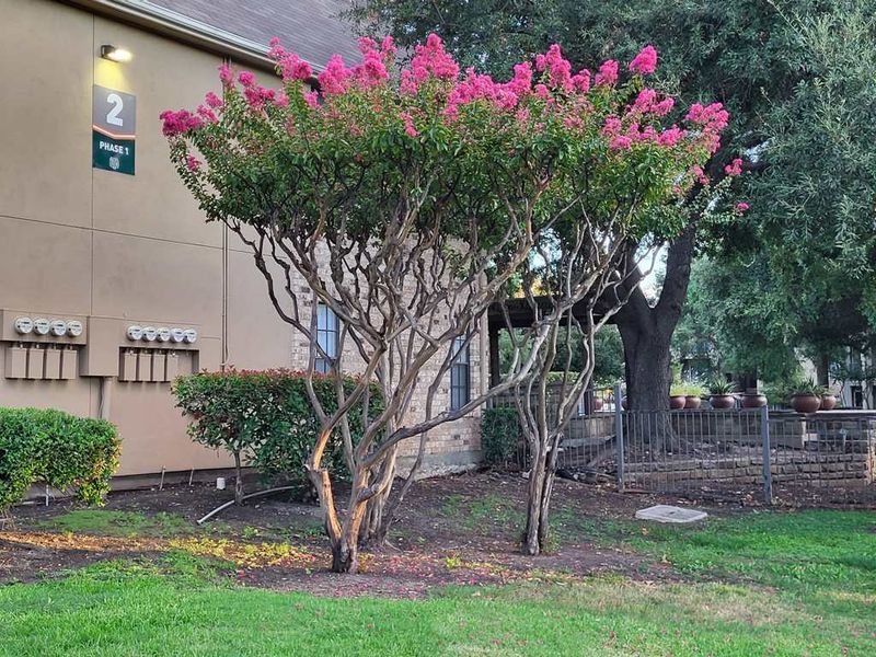 Late Cold Snaps Slow Spring Growth