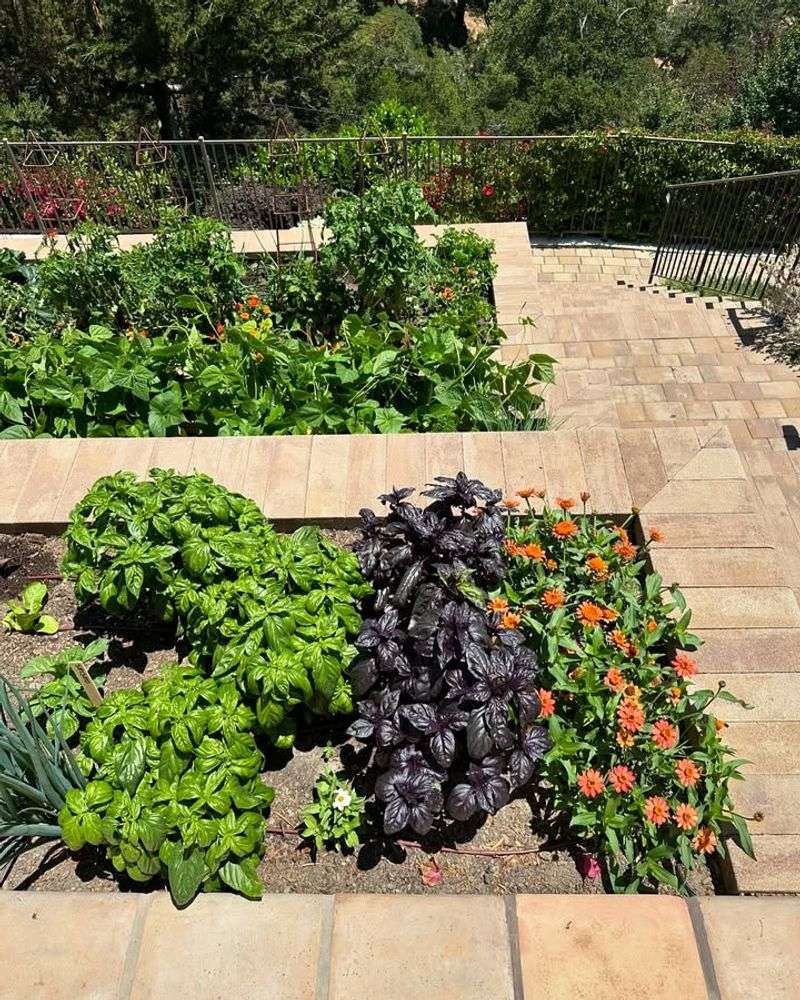 Create A More Productive Garden