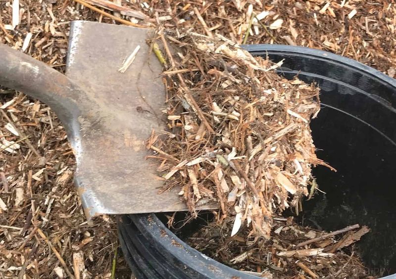 Use Mulch To Protect Soil And Improve Texture Over Time