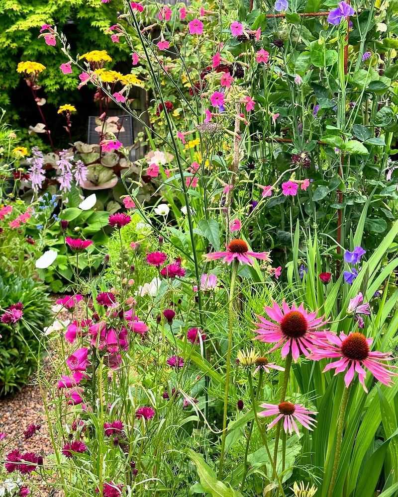 Pollinator-Friendly Garden Border