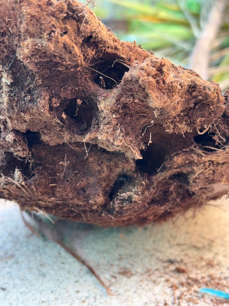 Root Zone Temperature Stress