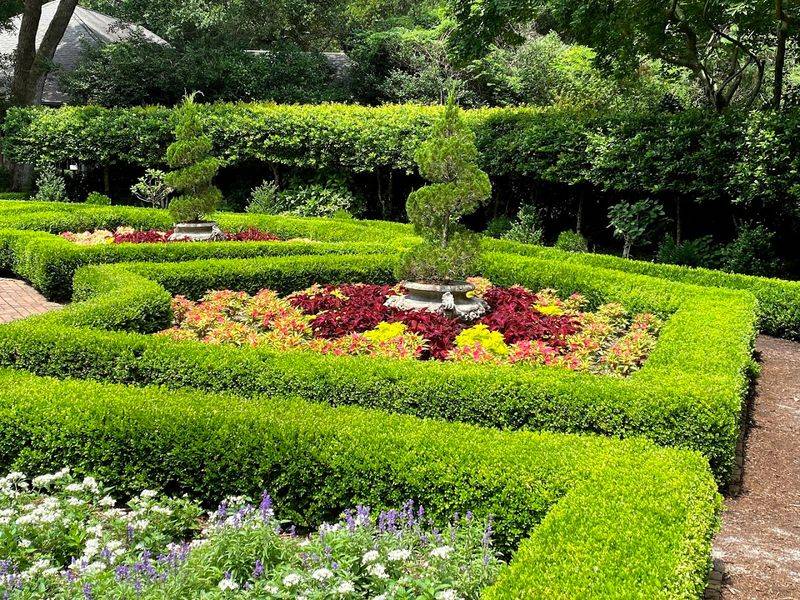 Stunning Plant Collections Year-Round