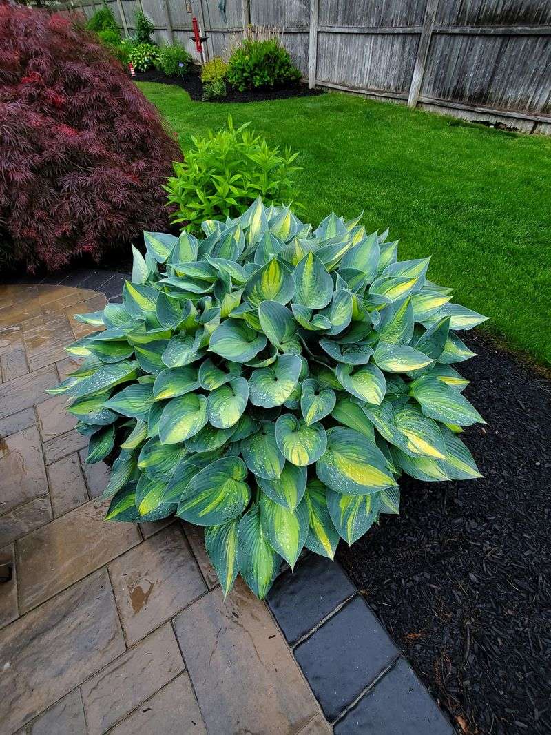 Big Cleanup Jobs Can Wait Until The Plant Settles Down