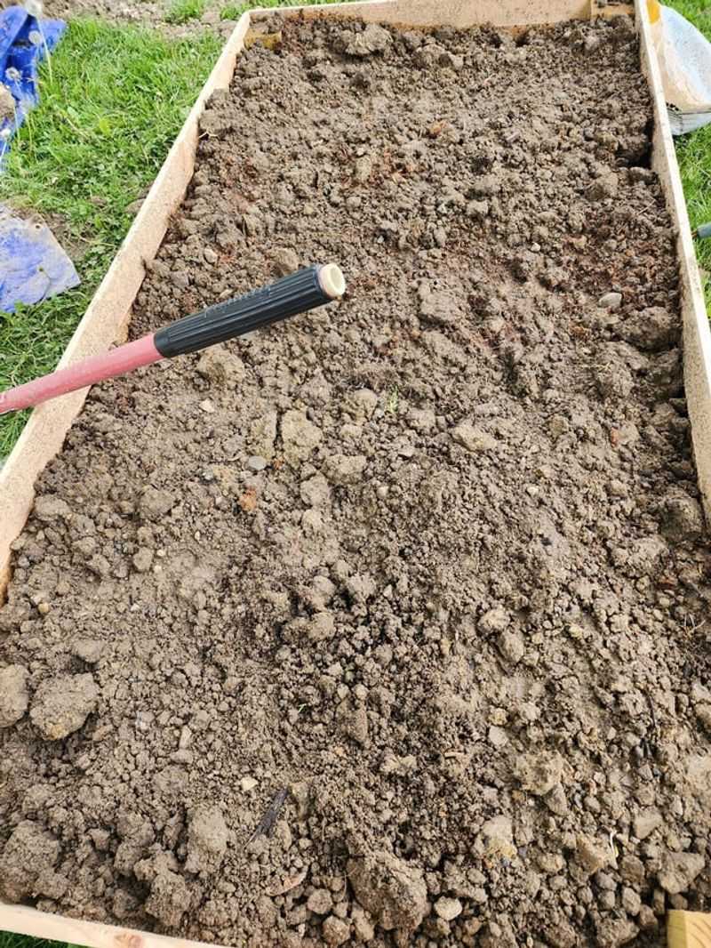 Filling Beds With Native Soil Instead Of A Light Mix