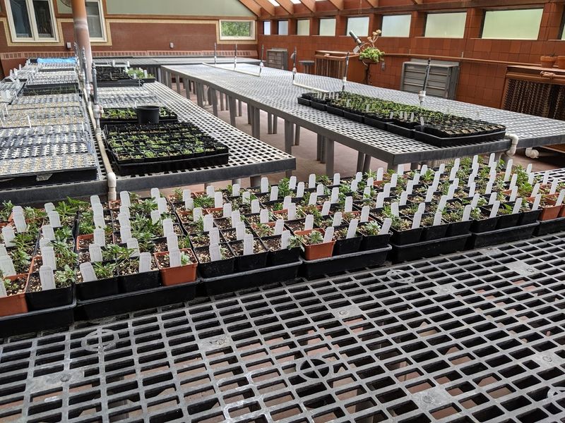 Clear Plant Labels Let You See Exactly What Each Plant Is