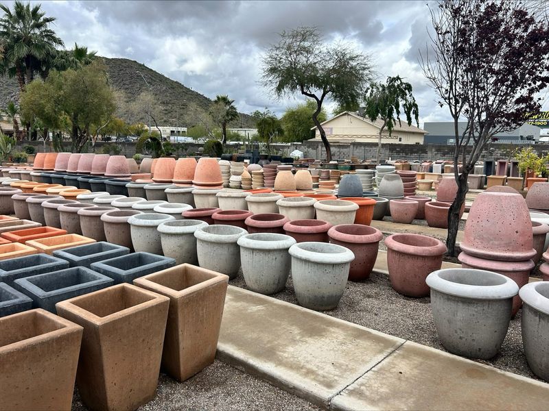 Upgrade To Larger Containers To Prevent Fast Soil Drying