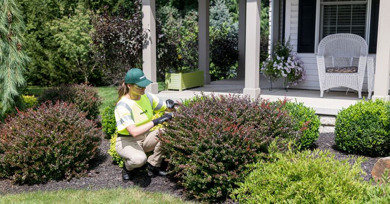 When Formal Resolution Becomes The Best Option