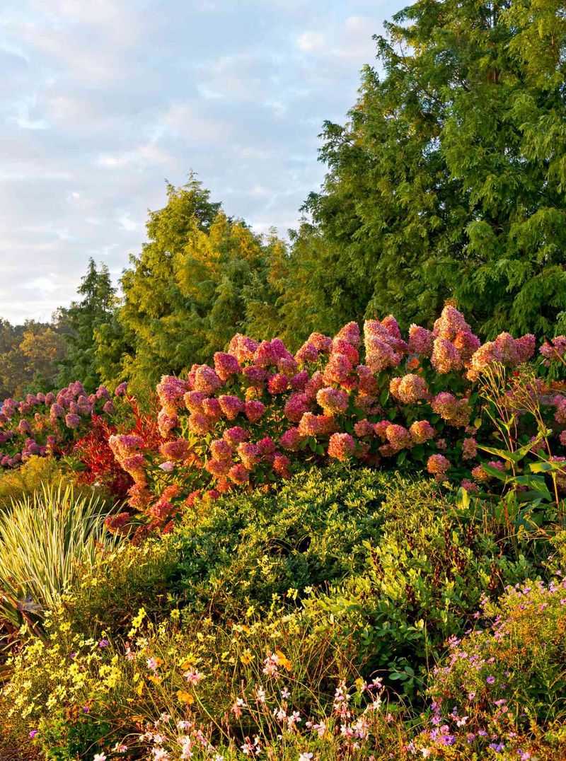 Think Beyond Fall Color Before You Plant